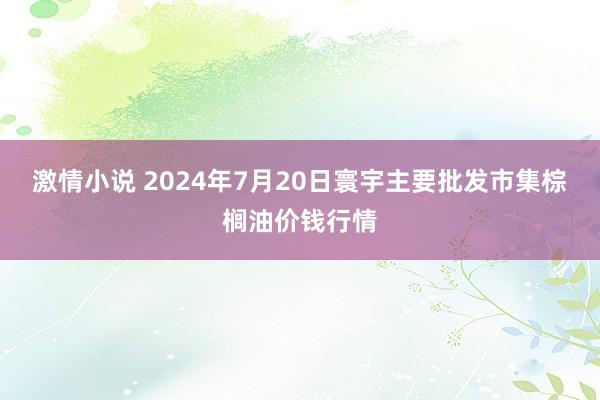 激情小说 2024年7月20日寰宇主要批发市集棕榈油价钱行情