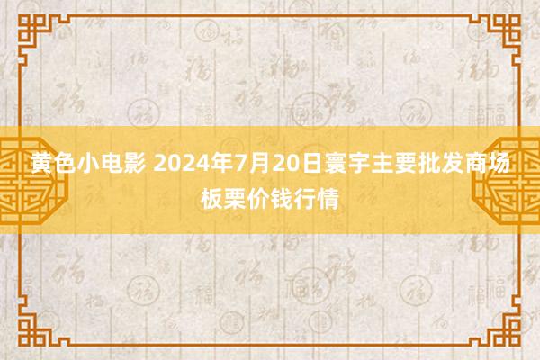 黄色小电影 2024年7月20日寰宇主要批发商场板栗价钱行情