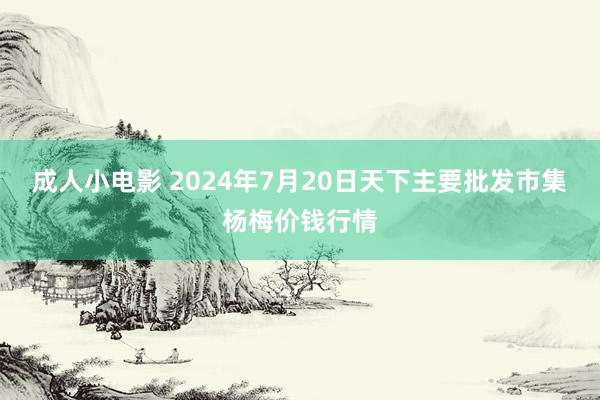 成人小电影 2024年7月20日天下主要批发市集杨梅价钱行情