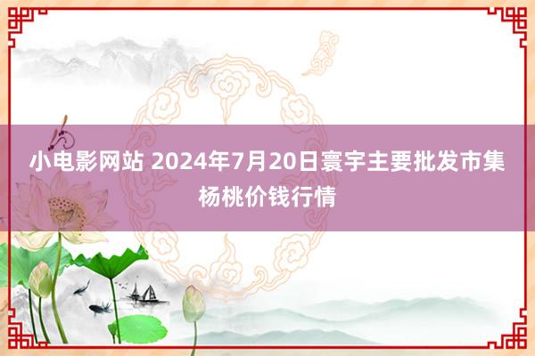 小电影网站 2024年7月20日寰宇主要批发市集杨桃价钱行情