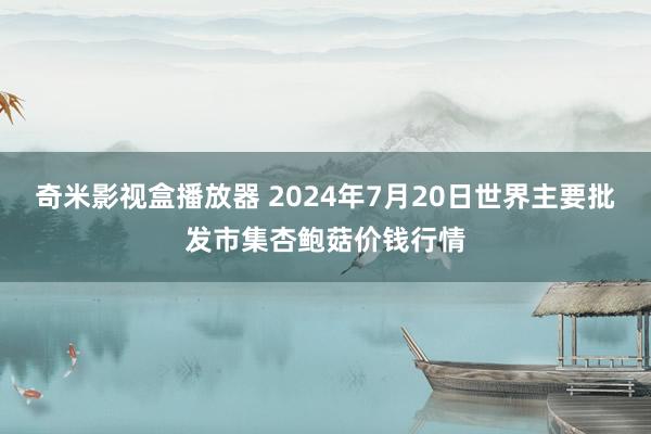 奇米影视盒播放器 2024年7月20日世界主要批发市集杏鲍菇价钱行情