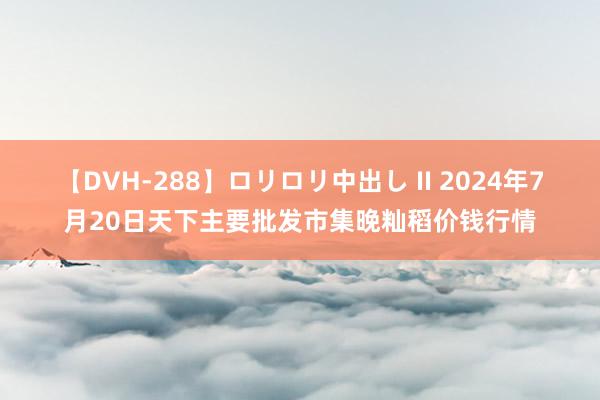 【DVH-288】ロリロリ中出し II 2024年7月20日天下主要批发市集晚籼稻价钱行情