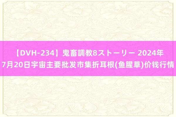 【DVH-234】鬼畜調教8ストーリー 2024年7月20日宇宙主要批发市集折耳根(鱼腥草)价钱行情