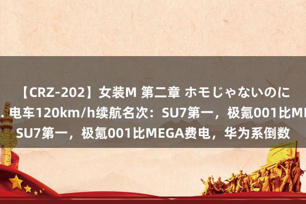 【CRZ-202】女装M 第二章 ホモじゃないのにチ○ポを欲しがる僕… 电车120km/h续航名次：SU7第一，极氪001比MEGA费电，华为系倒数