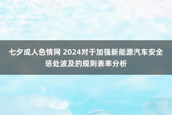 七夕成人色情网 2024对于加强新能源汽车安全惩处波及的规则表率分析