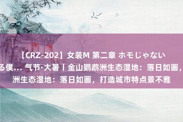 【CRZ-202】女装M 第二章 ホモじゃないのにチ○ポを欲しがる僕… 气节·大暑丨金山鹦鹉洲生态湿地：落日如画，打造城市特点景不雅