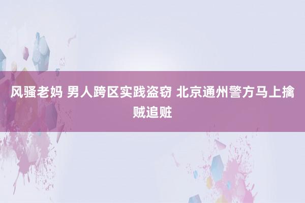 风骚老妈 男人跨区实践盗窃 北京通州警方马上擒贼追赃