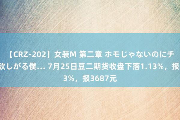 【CRZ-202】女装M 第二章 ホモじゃないのにチ○ポを欲しがる僕… 7月25日豆二期货收盘下落1.13%，报3687元