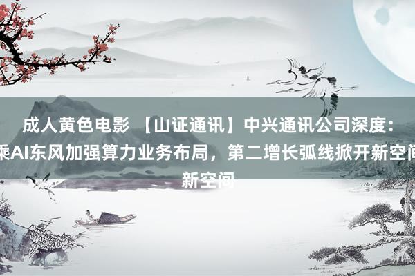 成人黄色电影 【山证通讯】中兴通讯公司深度：乘AI东风加强算力业务布局，第二增长弧线掀开新空间