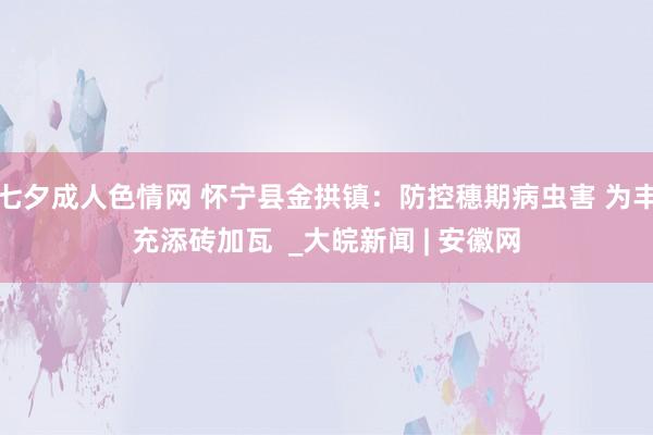 七夕成人色情网 怀宁县金拱镇：防控穗期病虫害 为丰充添砖加瓦  _大皖新闻 | 安徽网