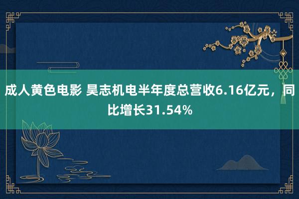 成人黄色电影 昊志机电半年度总营收6.16亿元，同比增长31.54%