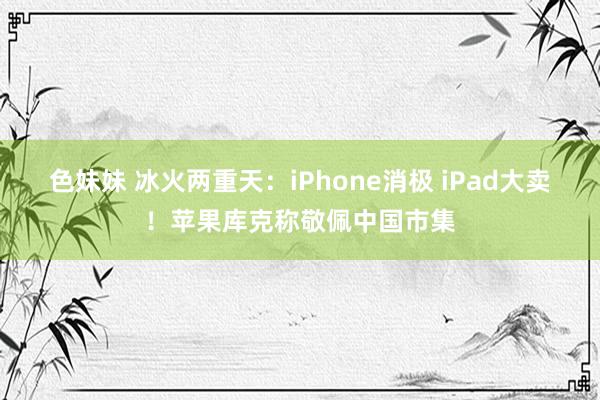 色妹妹 冰火两重天：iPhone消极 iPad大卖！苹果库克称敬佩中国市集