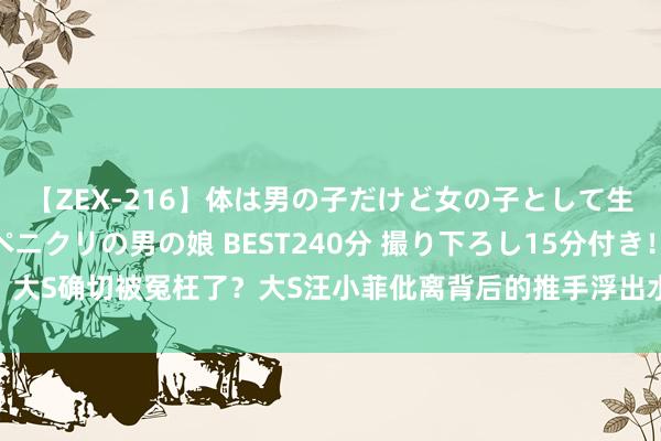 【ZEX-216】体は男の子だけど女の子として生きてる 感じやすいペニクリの男の娘 BEST240分 撮り下ろし15分付き！ 大S确切被冤枉了？大S汪小菲仳离背后的推手浮出水面，果然是你想不到的他？