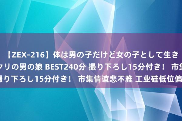 【ZEX-216】体は男の子だけど女の子として生きてる 感じやすいペニクリの男の娘 BEST240分 撮り下ろし15分付き！ 市集情谊悲不雅 工业硅低位偏弱