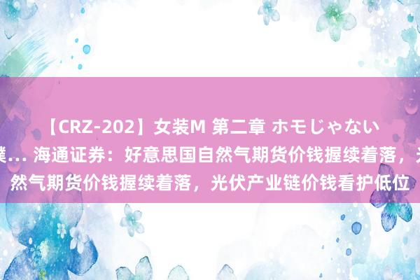 【CRZ-202】女装M 第二章 ホモじゃないのにチ○ポを欲しがる僕… 海通证券：好意思国自然气期货价钱握续着落，光伏产业链价钱看护低位