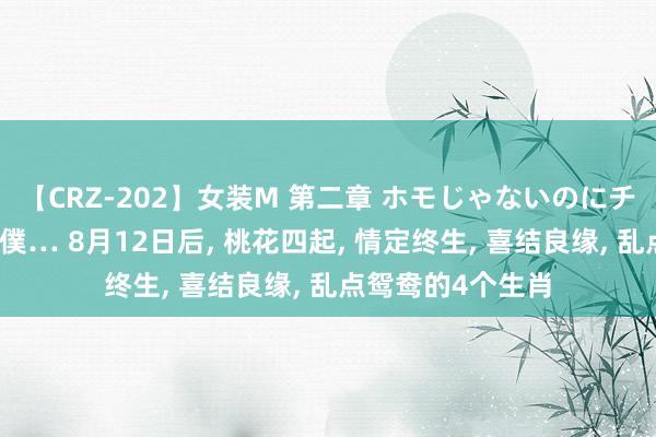 【CRZ-202】女装M 第二章 ホモじゃないのにチ○ポを欲しがる僕… 8月12日后， 桃花四起， 情定终生， 喜结良缘， 乱点鸳鸯的4个生肖