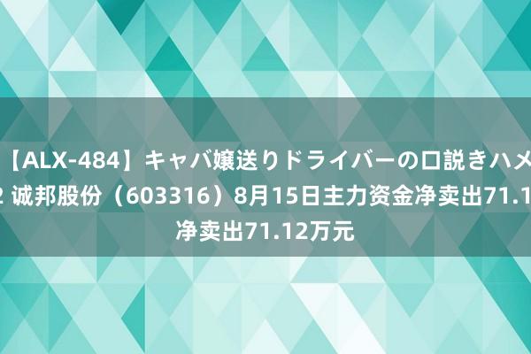 【ALX-484】キャバ嬢送りドライバーの口説きハメ撮り 2 诚邦股份（603316）8月15日主力资金净卖出71.12万元