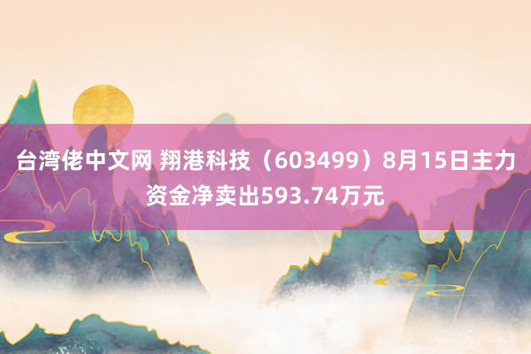 台湾佬中文网 翔港科技（603499）8月15日主力资金净卖出593.74万元