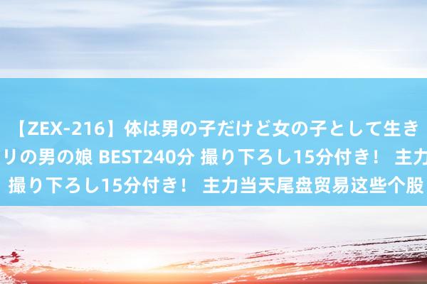 【ZEX-216】体は男の子だけど女の子として生きてる 感じやすいペニクリの男の娘 BEST240分 撮り下ろし15分付き！ 主力当天尾盘贸易这些个股