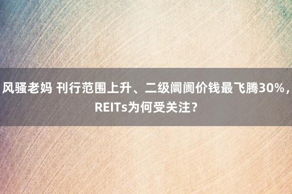 风骚老妈 刊行范围上升、二级阛阓价钱最飞腾30%，REITs为何受关注？