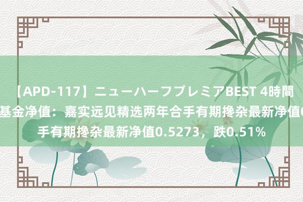 【APD-117】ニューハーフプレミアBEST 4時間SPECIAL 8月16日基金净值：嘉实远见精选两年合手有期搀杂最新净值0.5273，跌0.51%