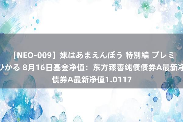 【NEO-009】妹はあまえんぼう 特別編 プレミアおなら ひかる 8月16日基金净值：东方臻善纯债债券A最新净值1.0117