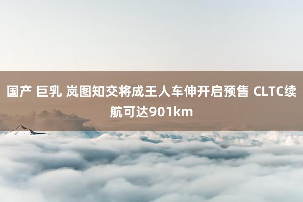 国产 巨乳 岚图知交将成王人车伸开启预售 CLTC续航可达901km