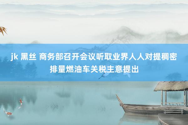 jk 黑丝 商务部召开会议听取业界人人对提稠密排量燃油车关税主意提出