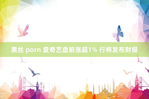 黑丝 porn 爱奇艺盘前涨超1% 行将发布财报