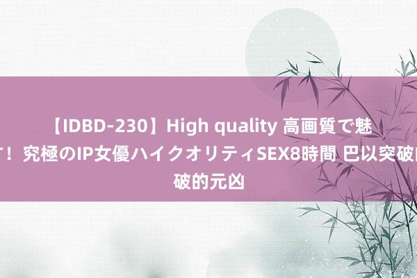 【IDBD-230】High quality 高画質で魅せます！究極のIP女優ハイクオリティSEX8時間 巴以突破的元凶