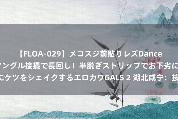 【FLOA-029】メコスジ前貼りレズDance オマ○コ喰い込みをローアングル接撮で長回し！半脱ぎストリップでお下劣にケツをシェイクするエロカワGALS 2 湖北咸宁：按下企业坏心刊出“暂停键”