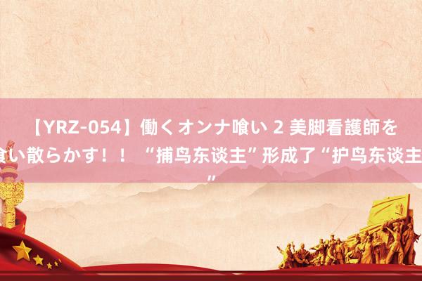 【YRZ-054】働くオンナ喰い 2 美脚看護師を食い散らかす！！ “捕鸟东谈主”形成了“护鸟东谈主”