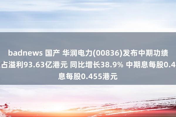 badnews 国产 华润电力(00836)发布中期功绩 推动应占溢利93.63亿港元 同比增长38.9% 中期息每股0.455港元