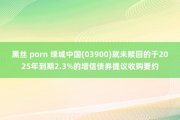 黑丝 porn 绿城中国(03900)就未赎回的于2025年到期2.3%的增信债券提议收购要约