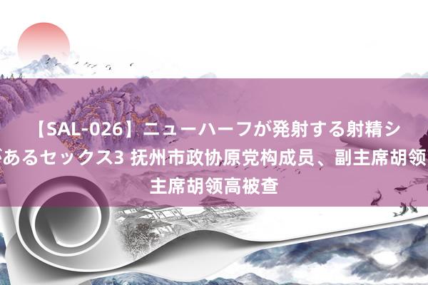 【SAL-026】ニューハーフが発射する射精シーンがあるセックス3 抚州市政协原党构成员、副主席胡领高被查