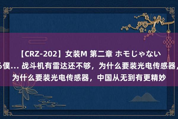 【CRZ-202】女装M 第二章 ホモじゃないのにチ○ポを欲しがる僕… 战斗机有雷达还不够，为什么要装光电传感器，中国从无到有更精妙