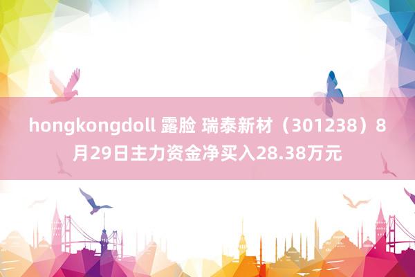 hongkongdoll 露脸 瑞泰新材（301238）8月29日主力资金净买入28.38万元