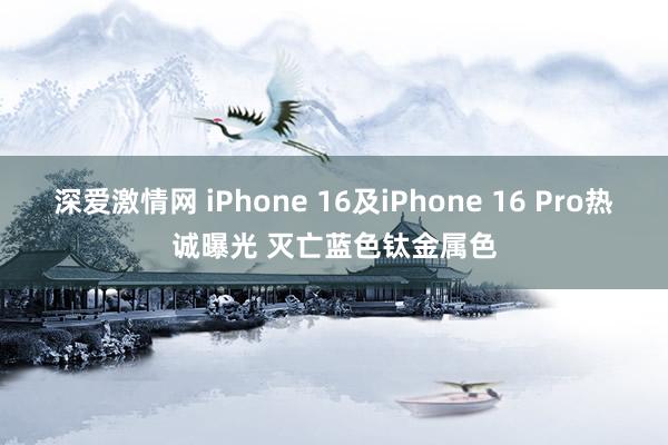 深爱激情网 iPhone 16及iPhone 16 Pro热诚曝光 灭亡蓝色钛金属色