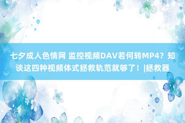 七夕成人色情网 监控视频DAV若何转MP4？知谈这四种视频体式拯救轨范就够了！|拯救器