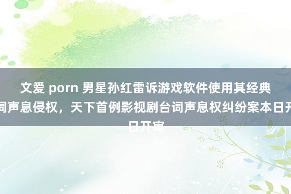 文爱 porn 男星孙红雷诉游戏软件使用其经典台词声息侵权，天下首例影视剧台词声息权纠纷案本日开审