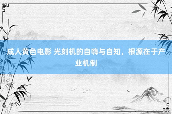 成人黄色电影 光刻机的自嗨与自知，根源在于产业机制