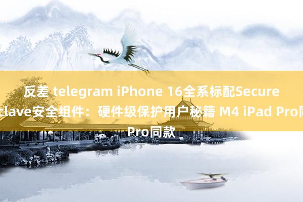 反差 telegram iPhone 16全系标配Secure Exclave安全组件：硬件级保护用户秘籍 M4 iPad Pro同款