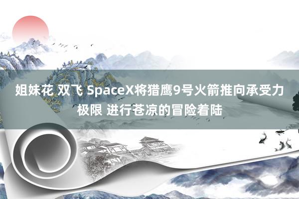 姐妹花 双飞 SpaceX将猎鹰9号火箭推向承受力极限 进行苍凉的冒险着陆