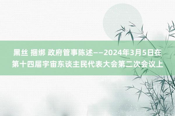 黑丝 捆绑 政府管事陈述——2024年3月5日在第十四届宇宙东谈主民代表大会第二次会议上