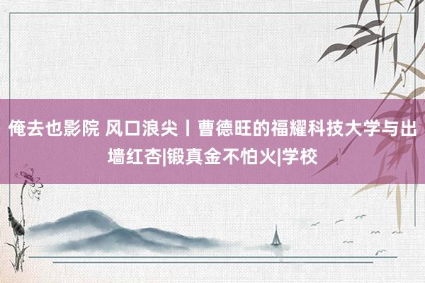 俺去也影院 风口浪尖丨曹德旺的福耀科技大学与出墙红杏|锻真金不怕火|学校