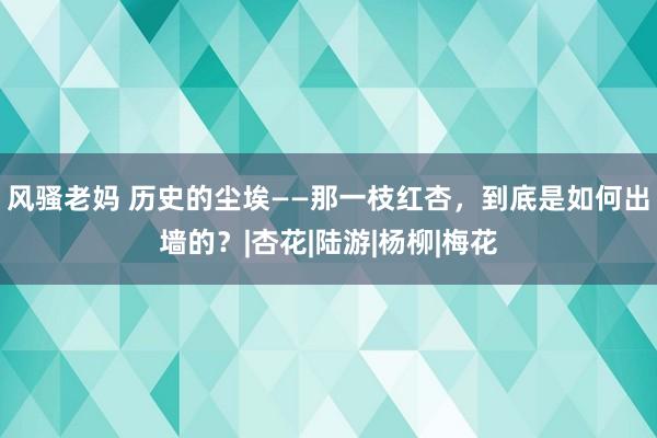 风骚老妈 历史的尘埃——那一枝红杏，到底是如何出墙的？|杏花|陆游|杨柳|梅花