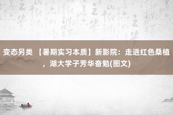 变态另类 【暑期实习本质】新影院：走进红色桑植，湖大学子芳华奋勉(图文)