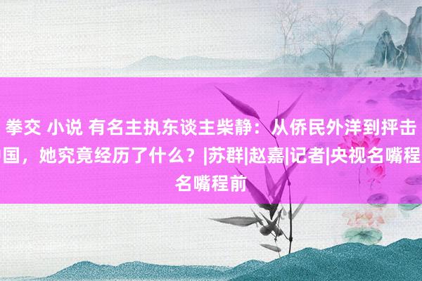 拳交 小说 有名主执东谈主柴静：从侨民外洋到抨击中国，她究竟经历了什么？|苏群|赵嘉|记者|央视名嘴程前