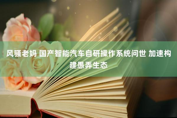 风骚老妈 国产智能汽车自研操作系统问世 加速构建愚弄生态